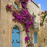 Comfort Sliema