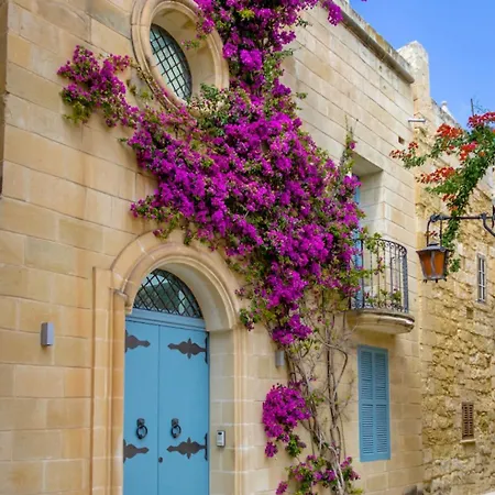 Comfort Sliema