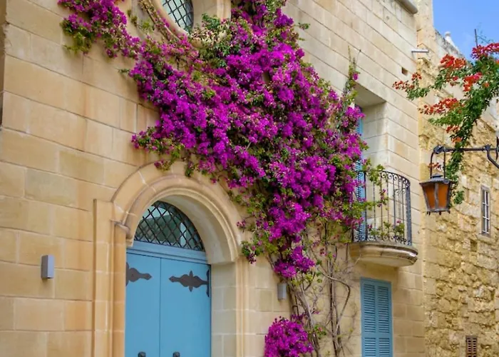 Comfort 슬리에마