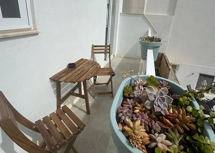 Comfort * 슬리에마